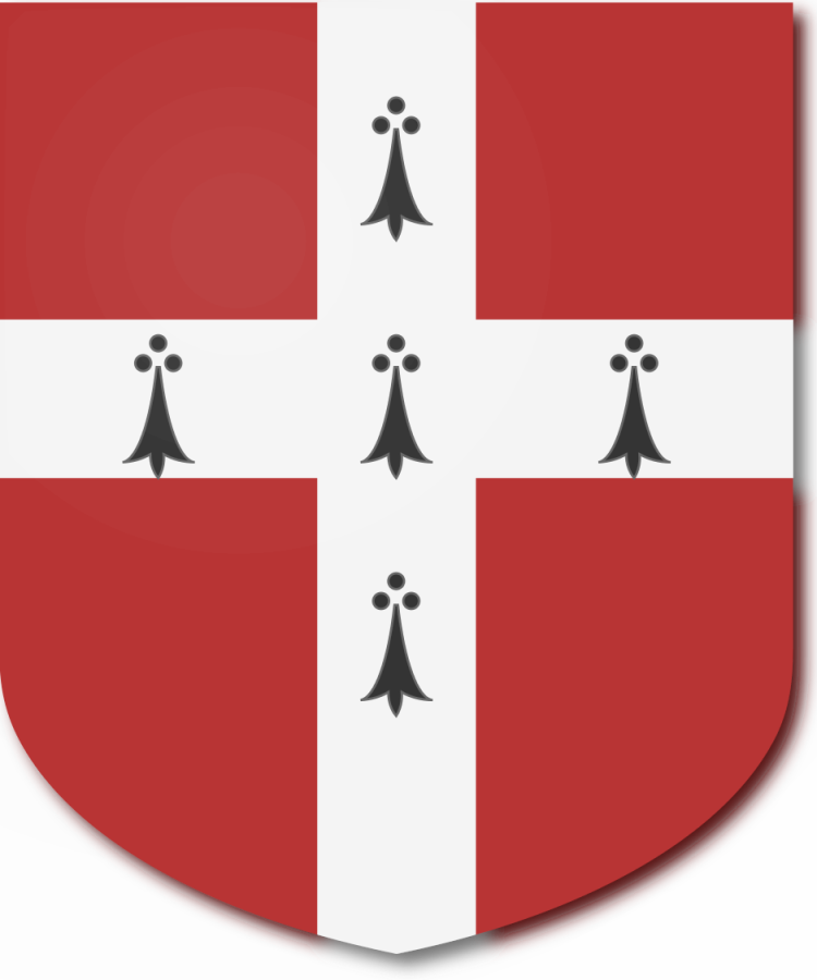 Shield image