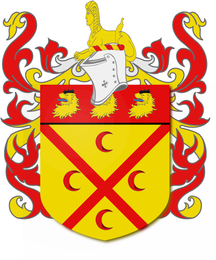 Shield image