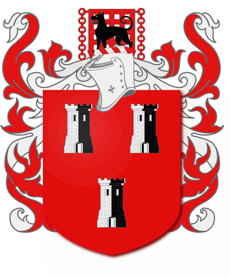 Shield image