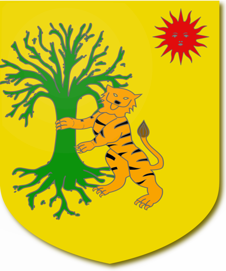 Shield image