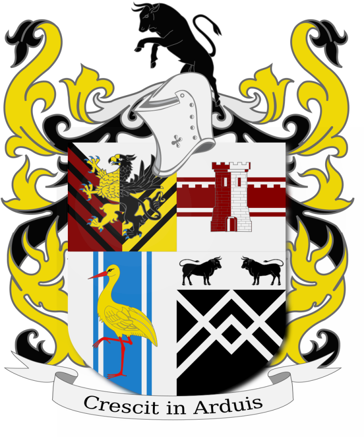 Shield image