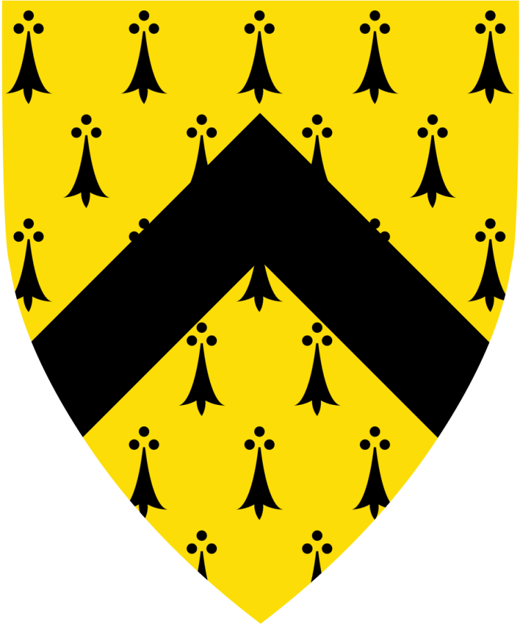 Shield image