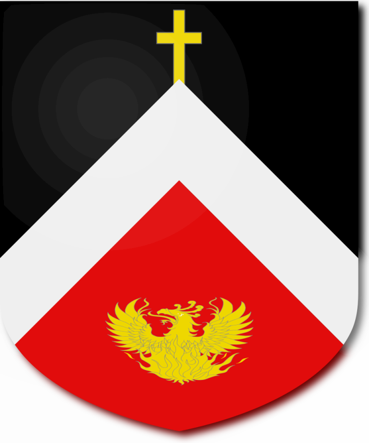 Shield image