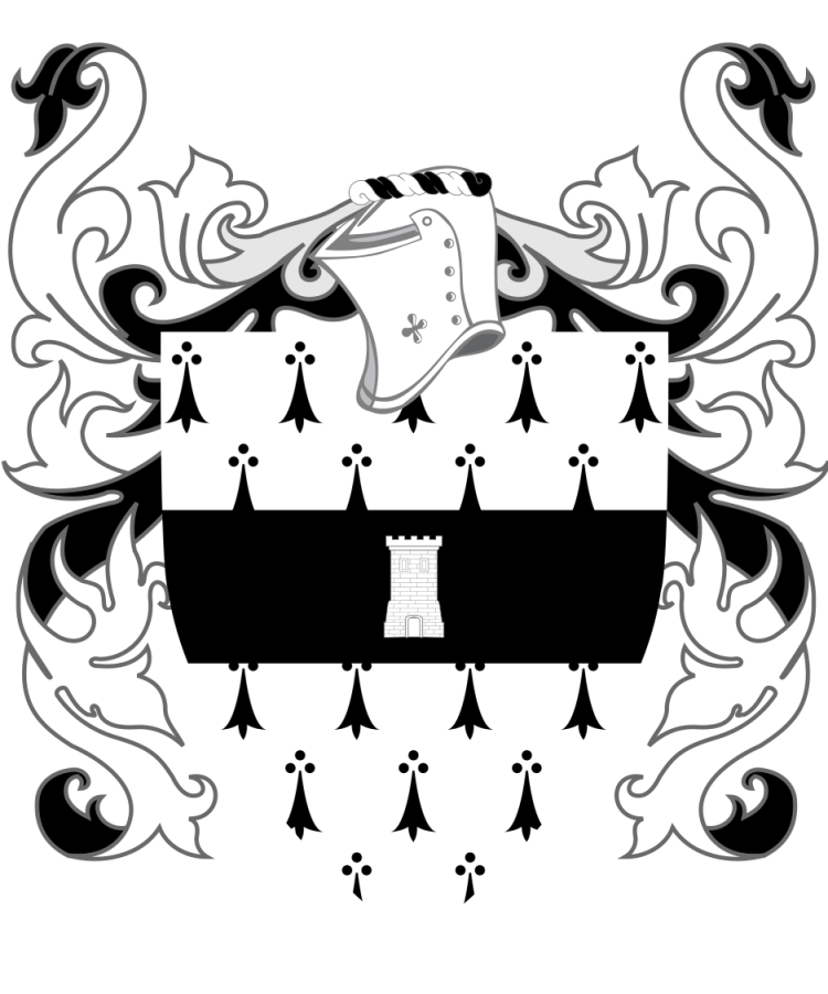 Shield image