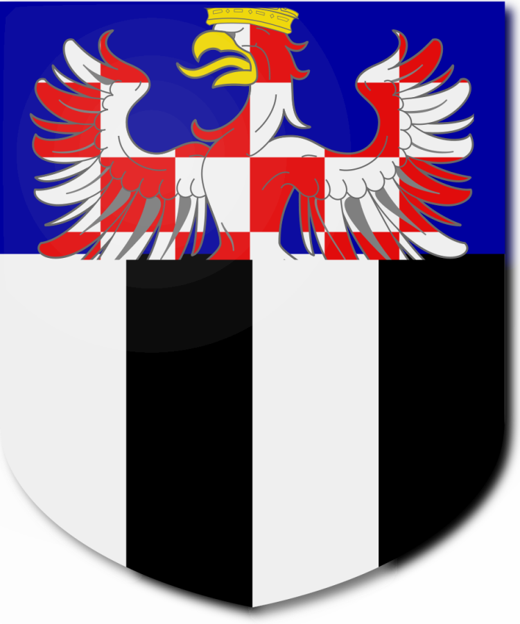 Shield image