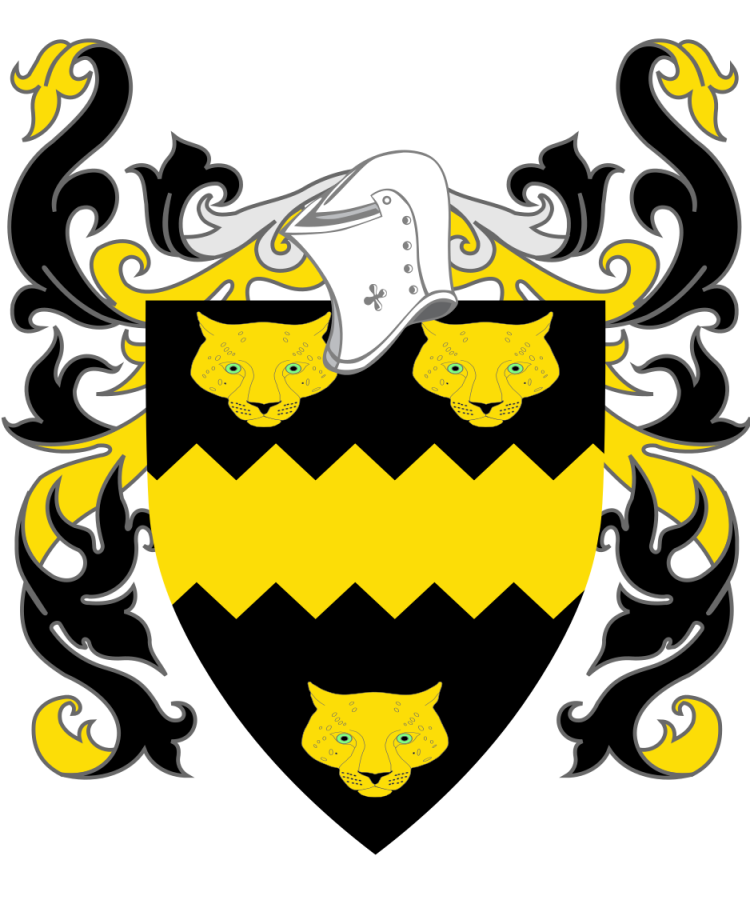 Shield image