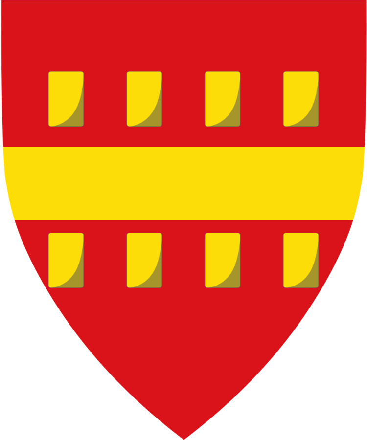 Shield image