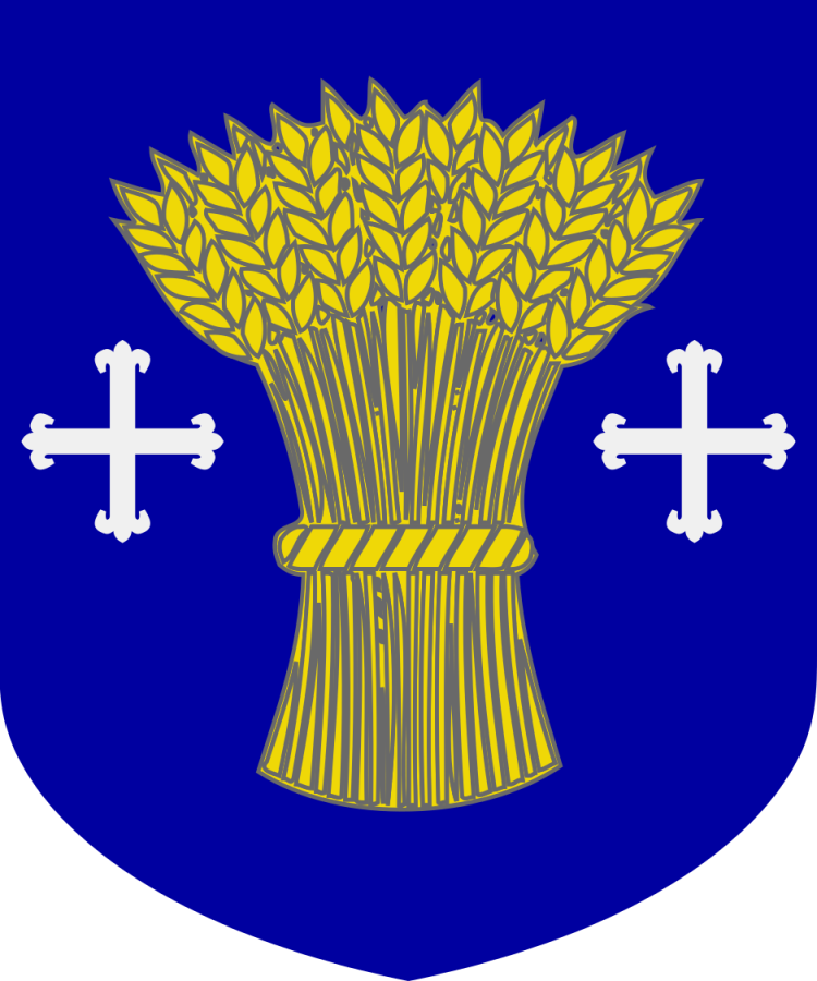 Shield image