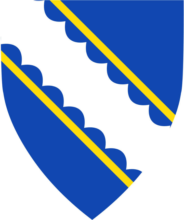 Shield image