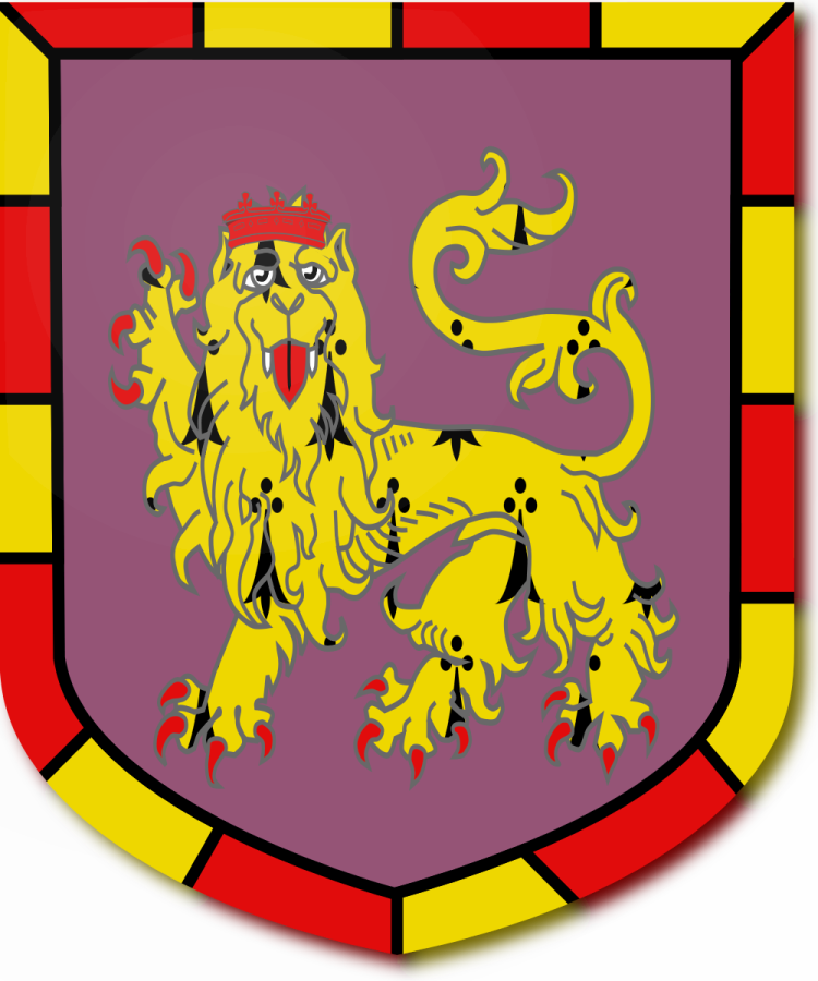 Shield image