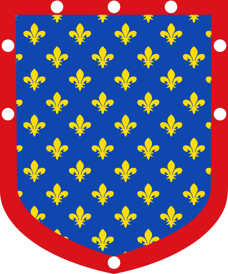 Shield image