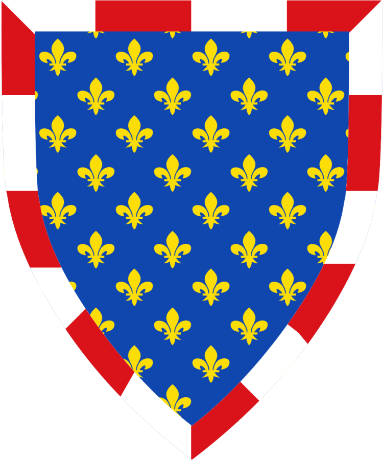 Shield image