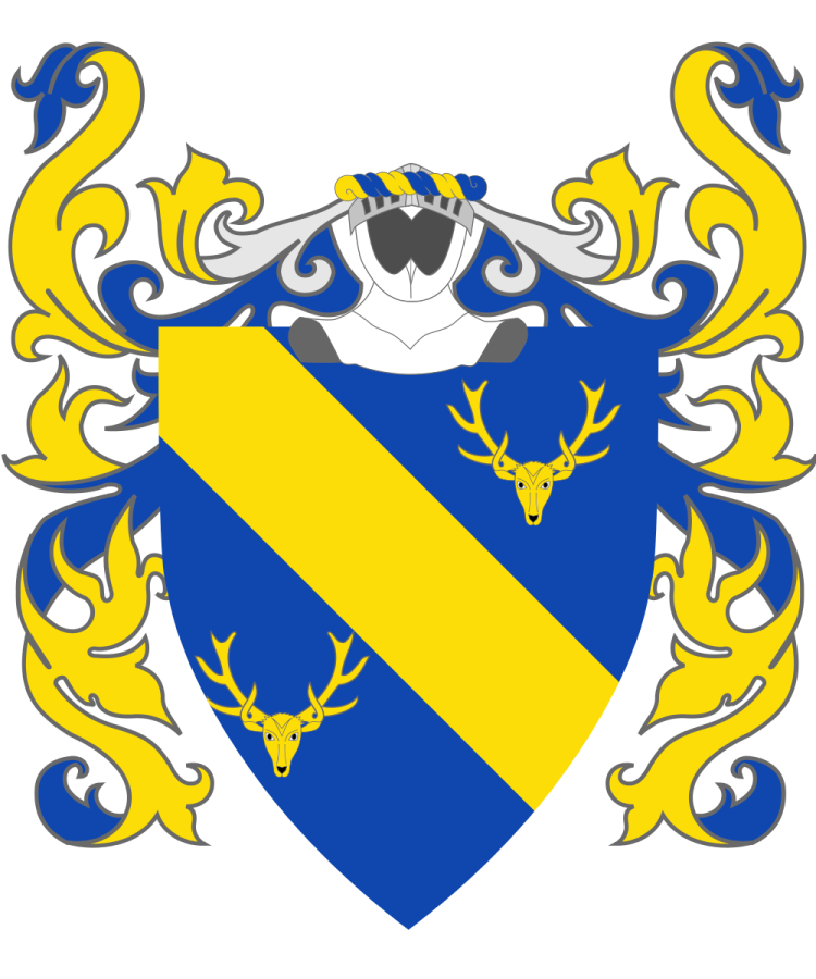 Shield image