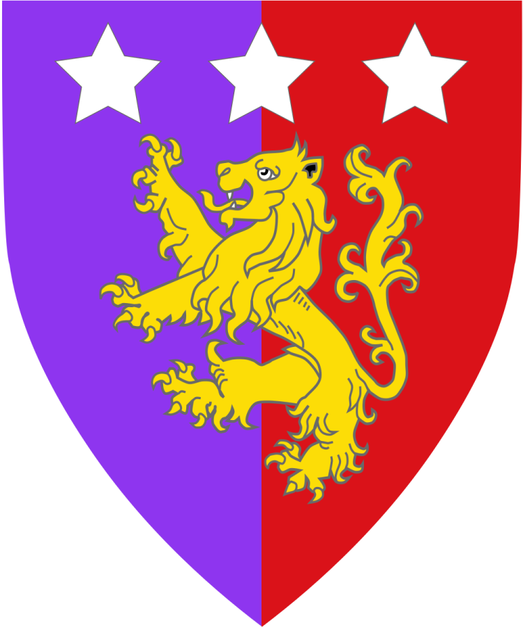 Shield image