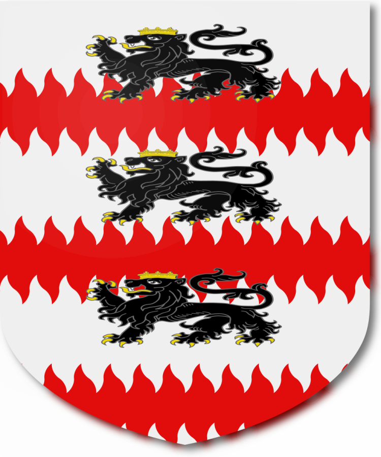 Shield image