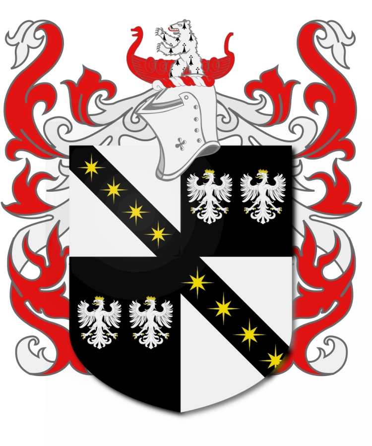 Shield image