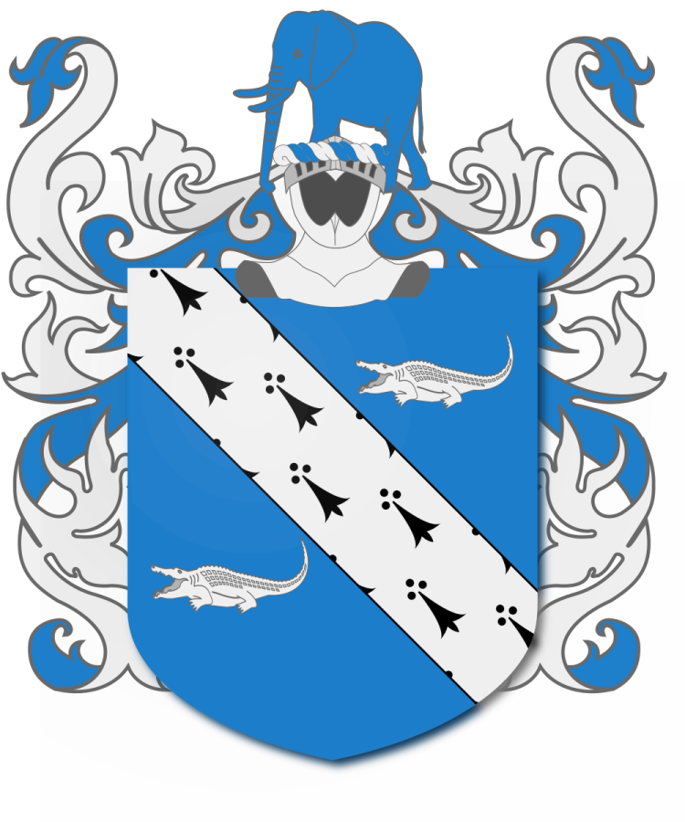 Shield image