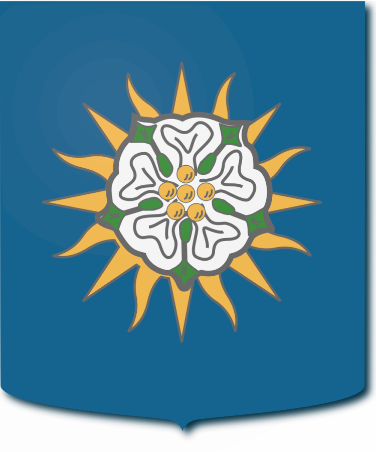 Shield image