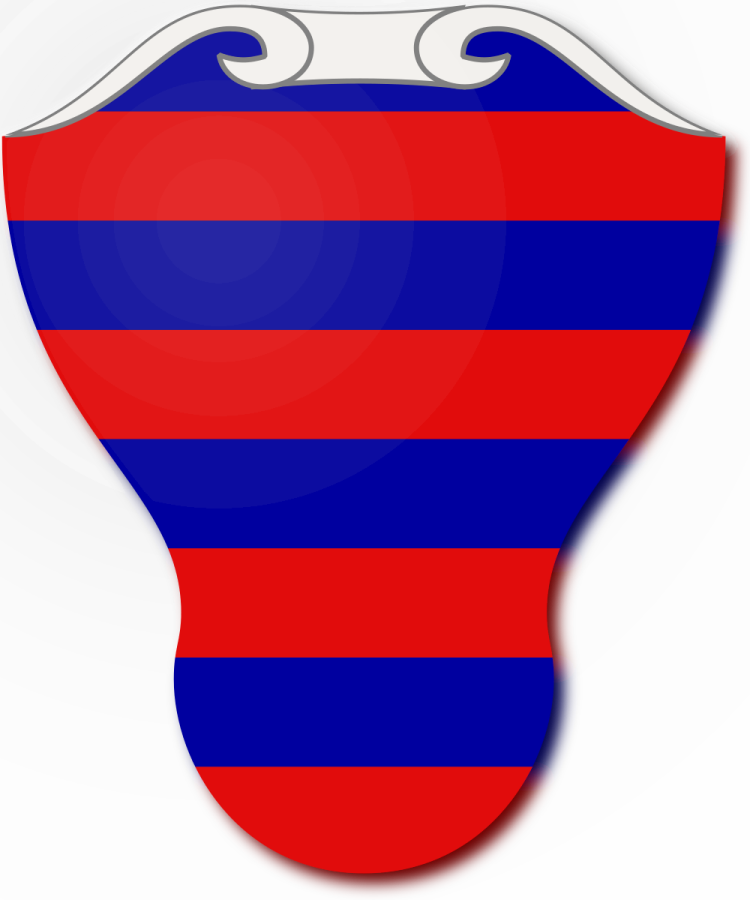 Shield image