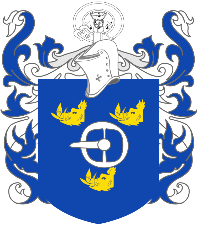 Shield image