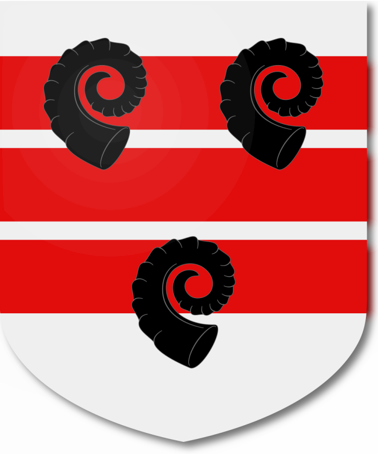 Shield image