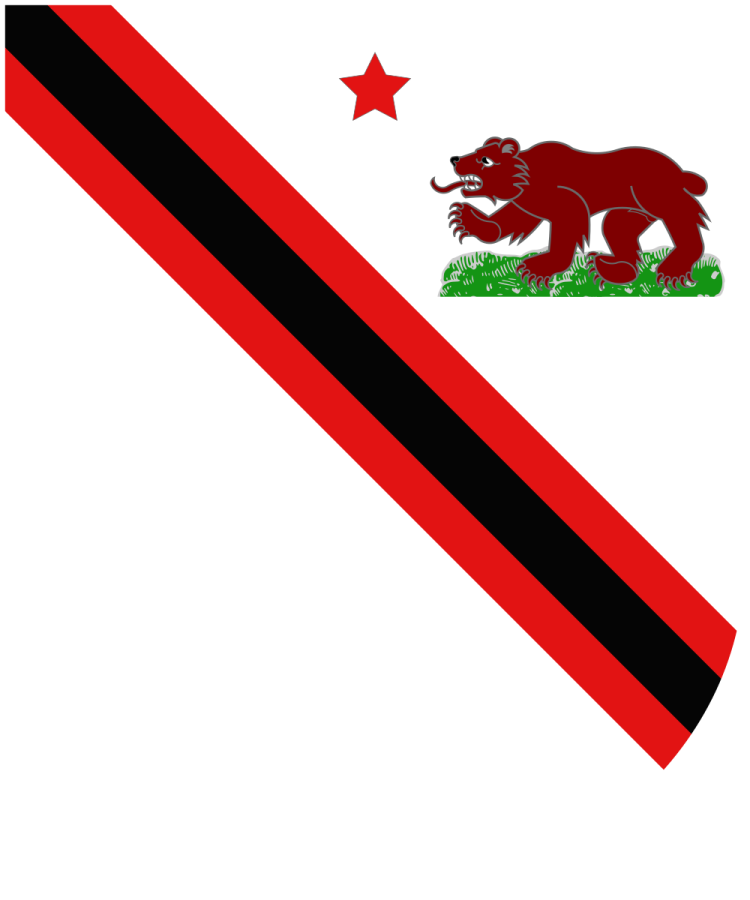 Shield image