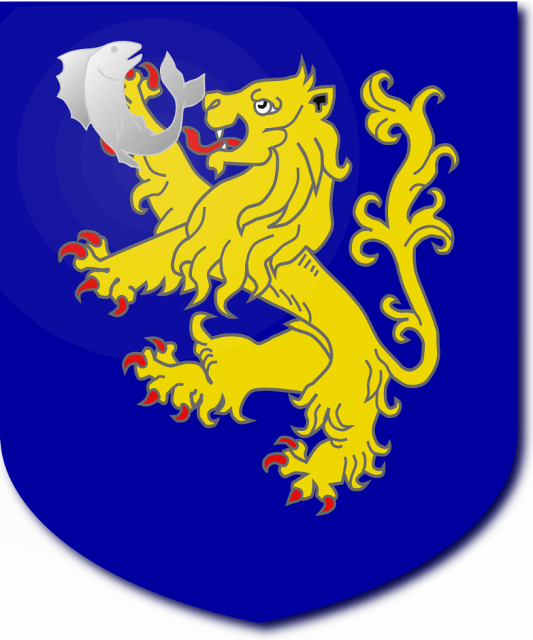 Shield image