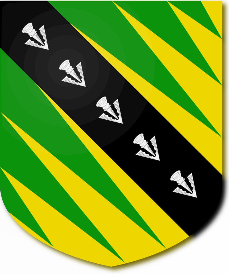 Shield image