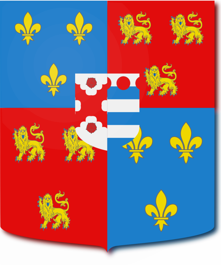 Shield image