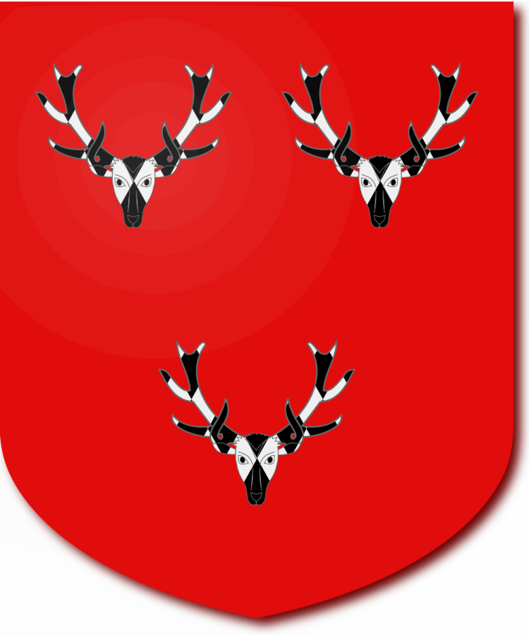 Shield image