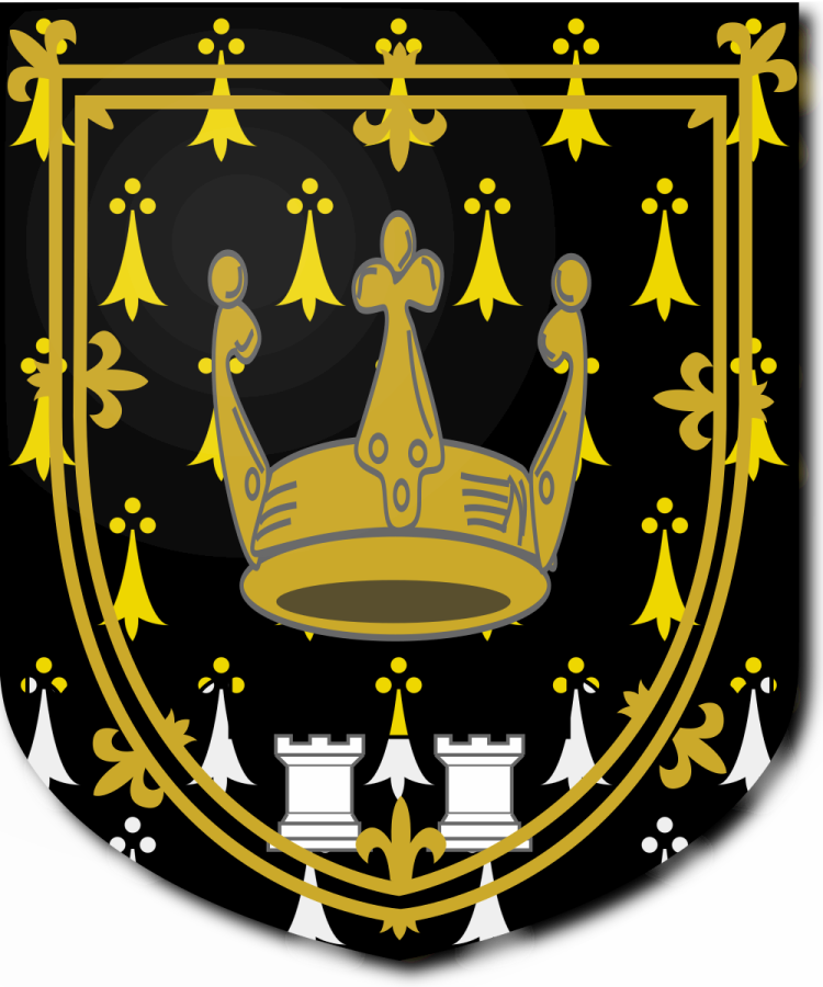 Shield image