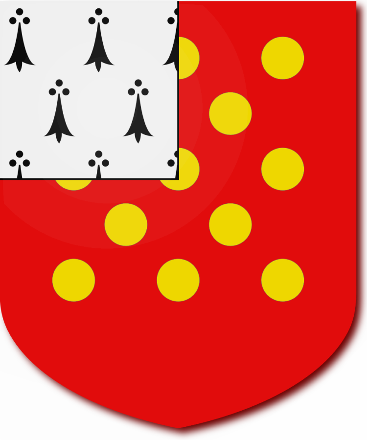 Shield image