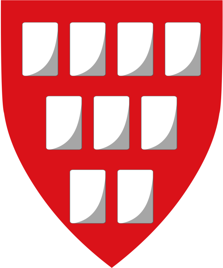 Shield image