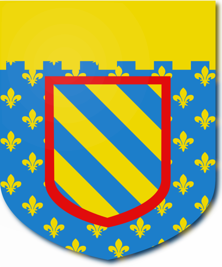 Shield image