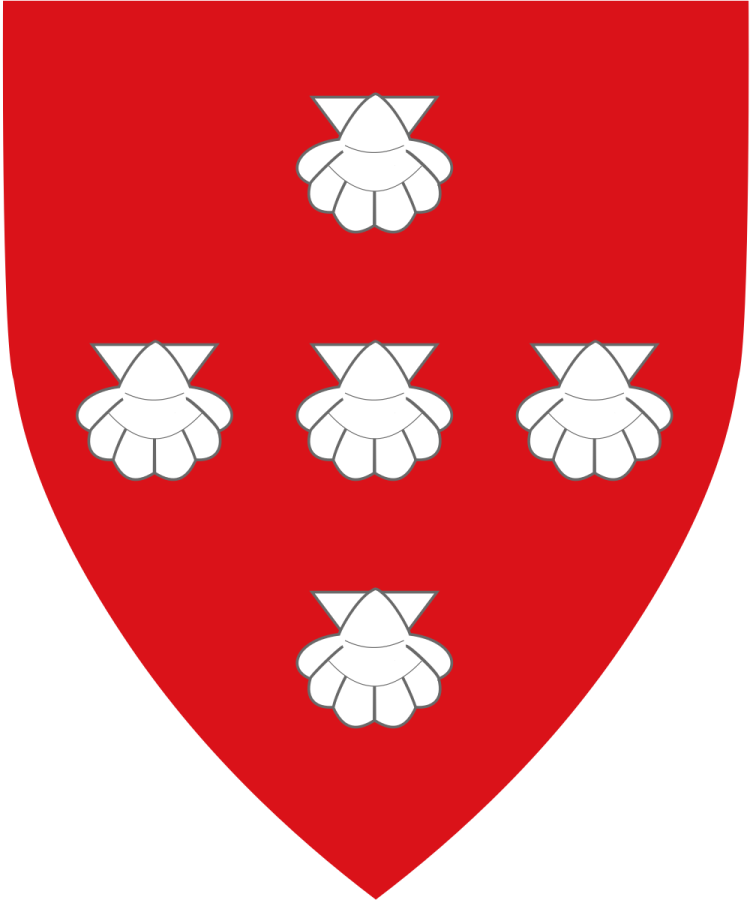 Shield image