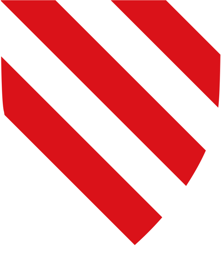 Shield image