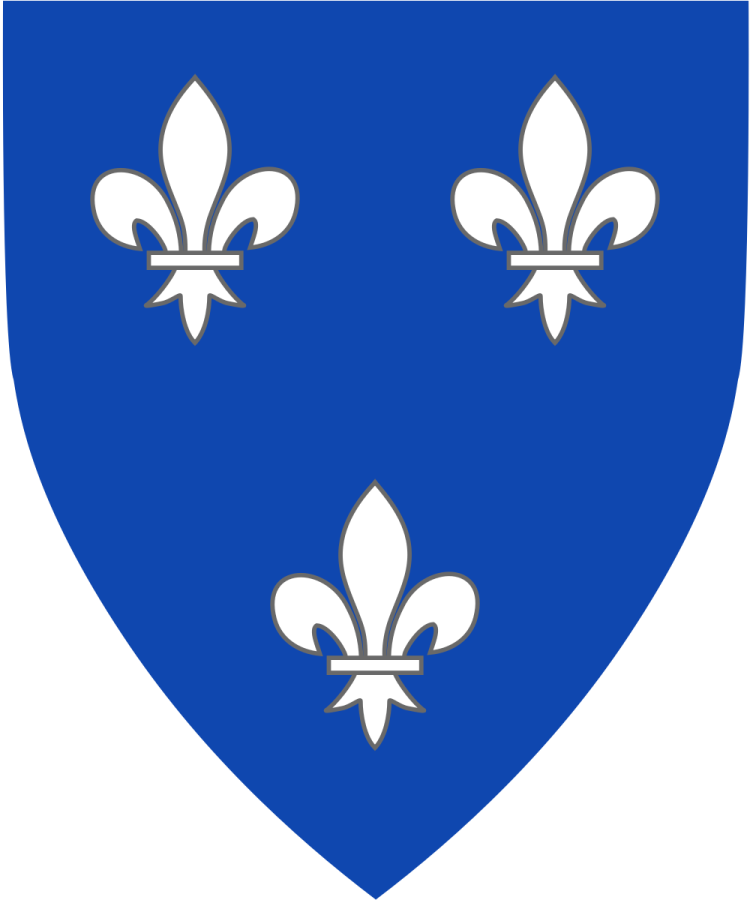 Shield image