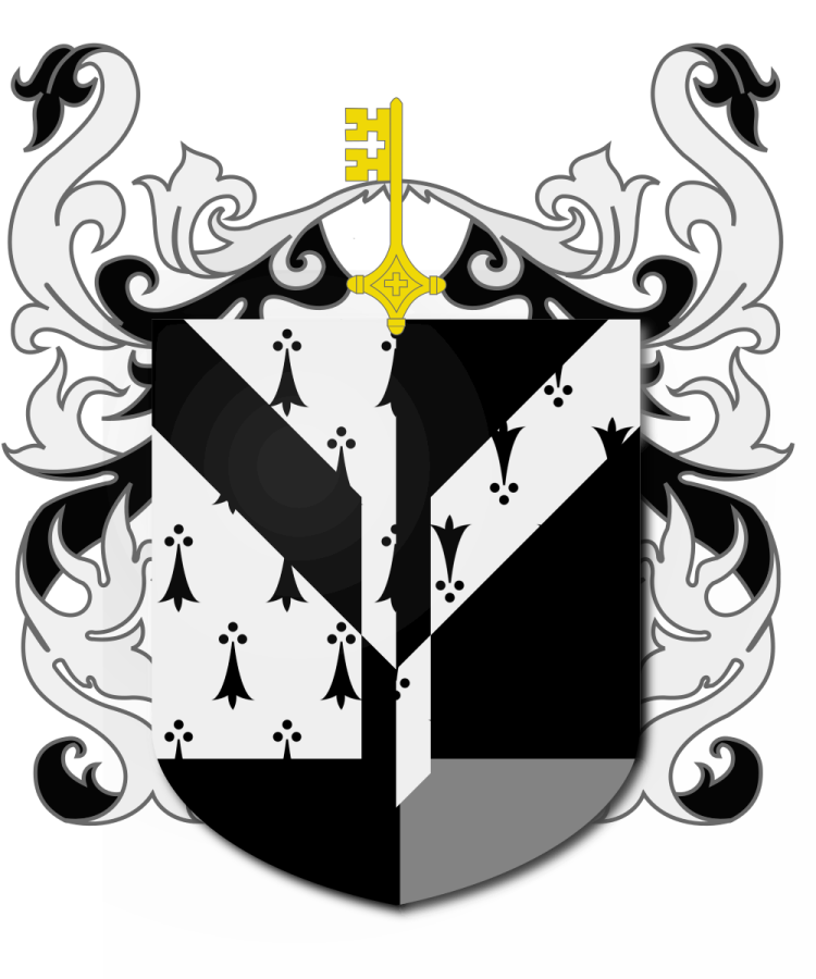 Shield image