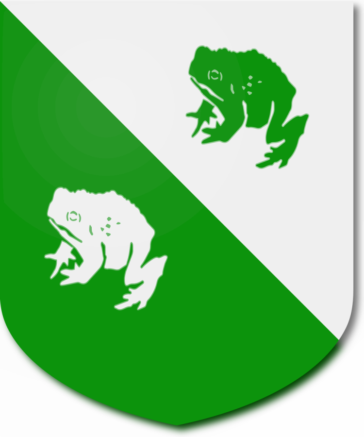 Shield image