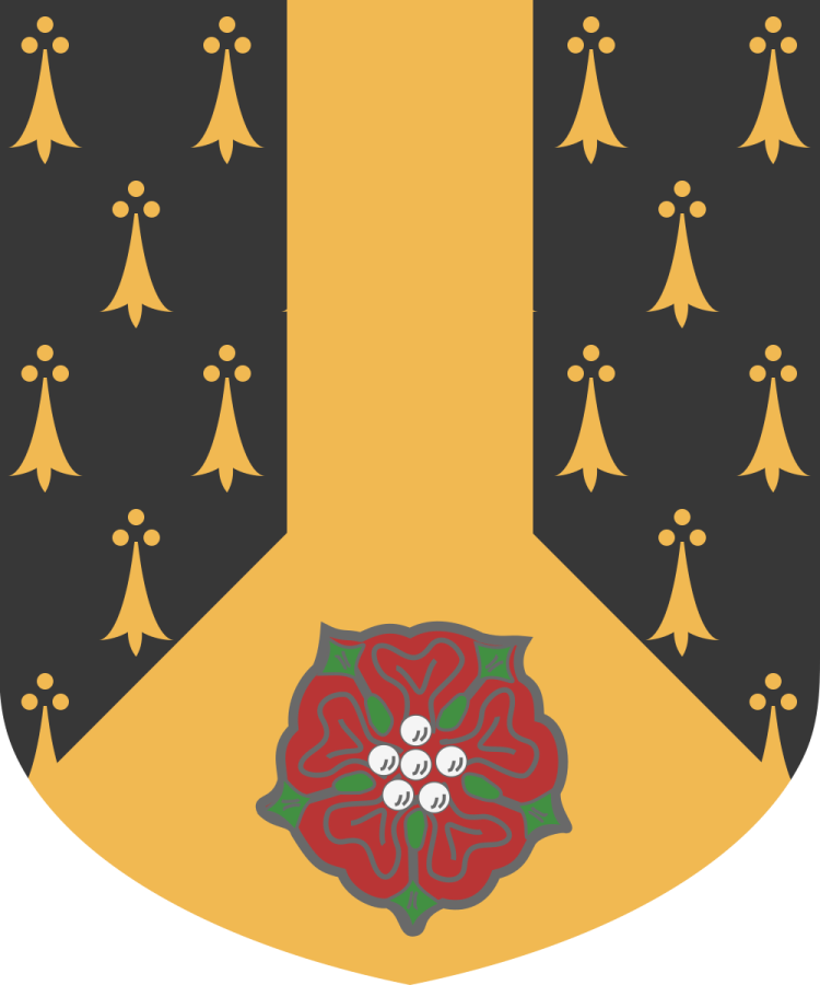 Shield image