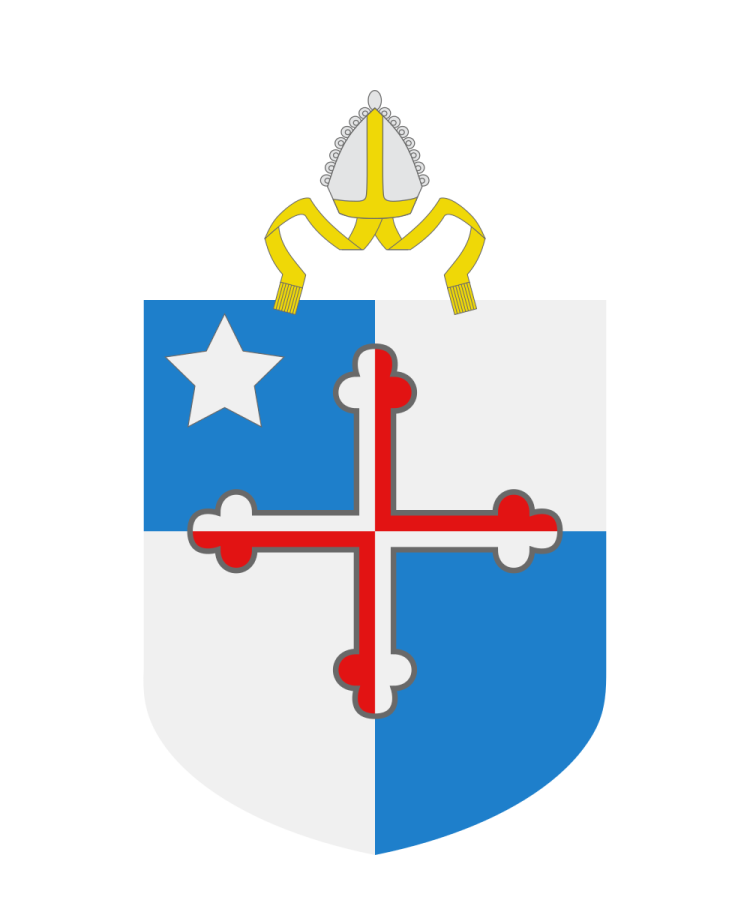 Shield image