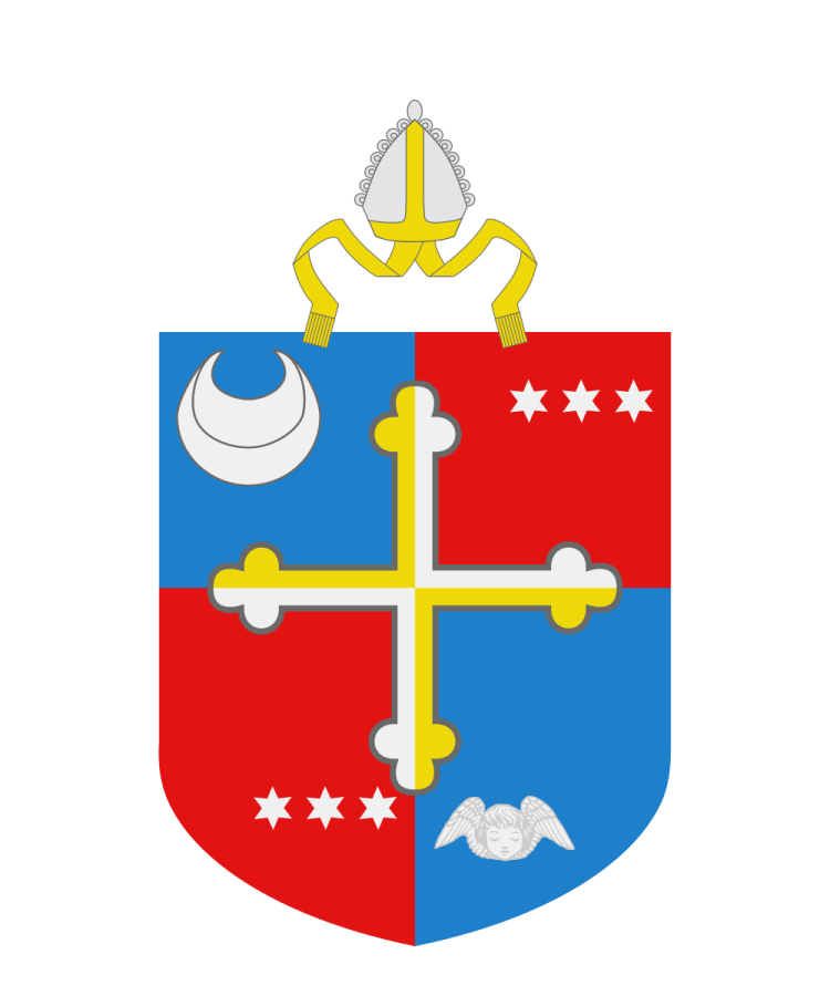 Shield image