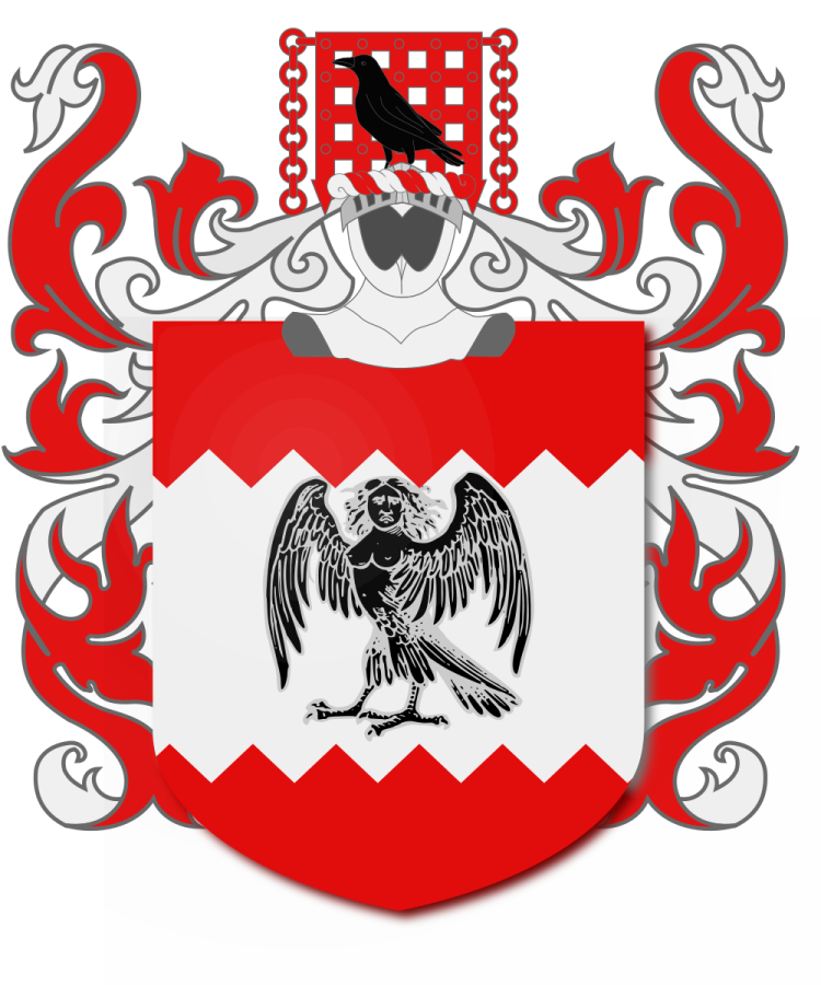 Shield image