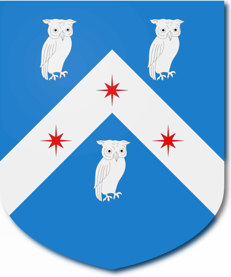 Shield image