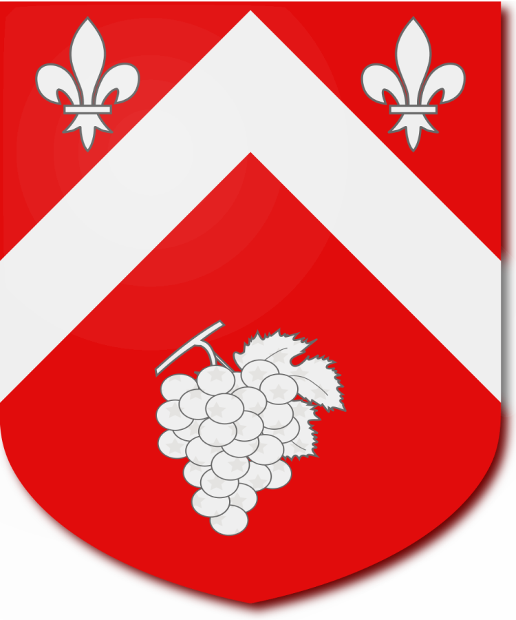 Shield image