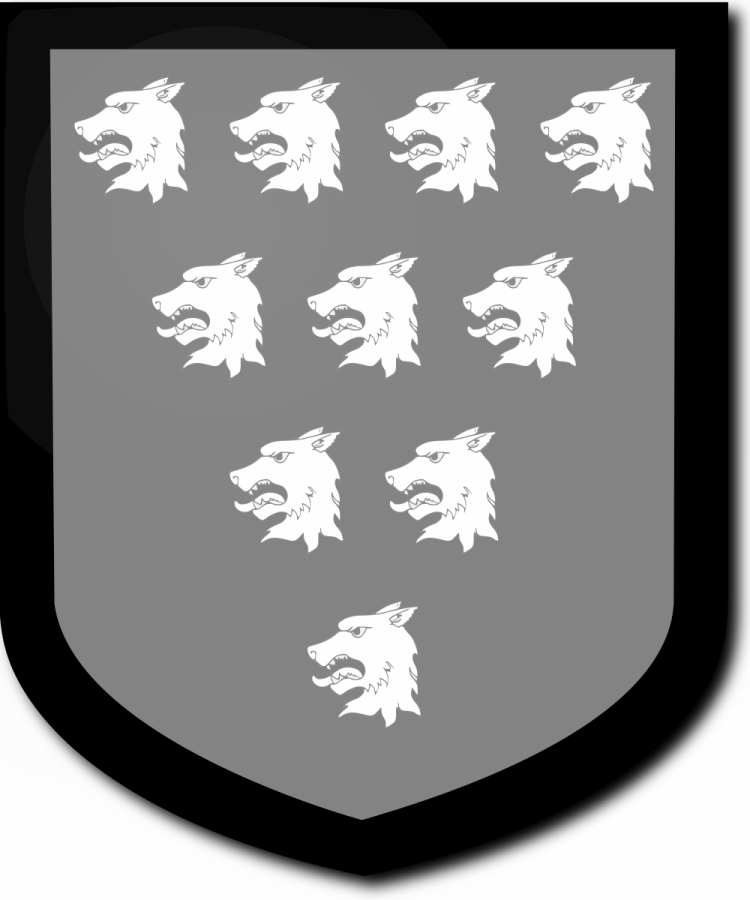 Shield image