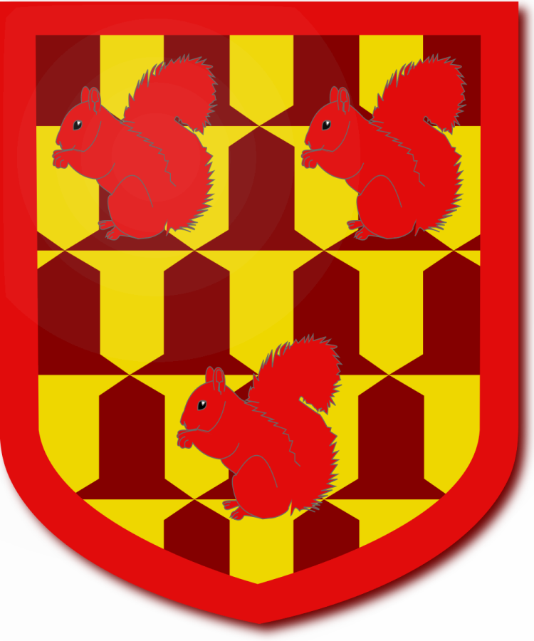 Shield image