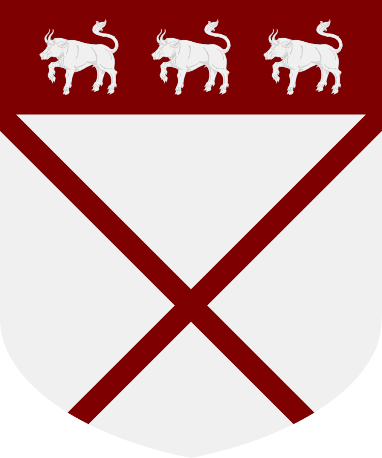 Shield image