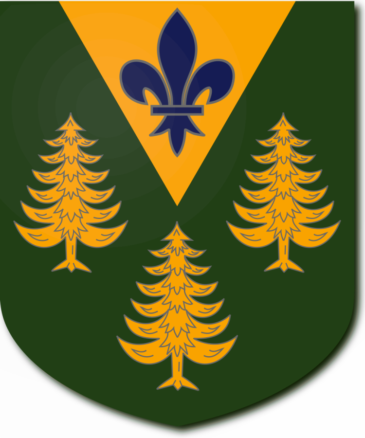 Shield image