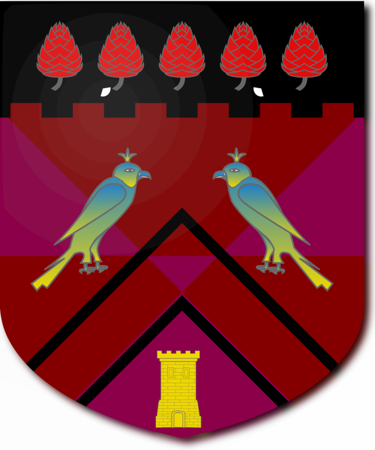 Shield image